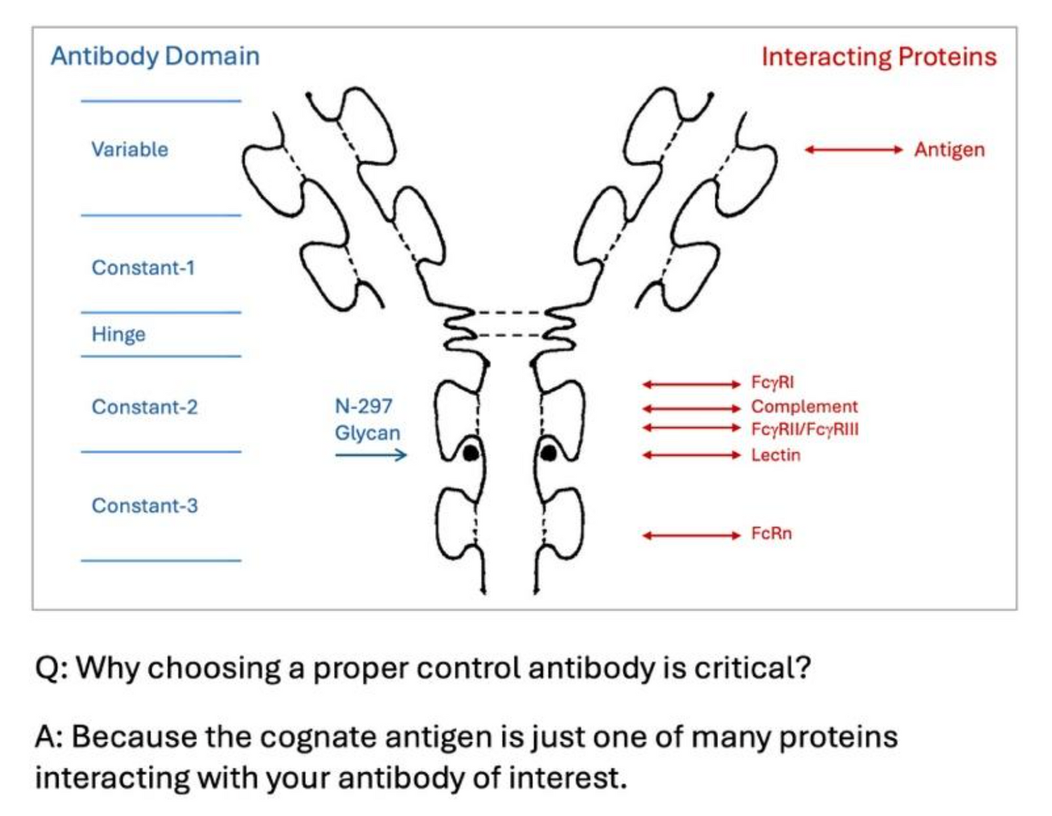 Z-MAB®: The Next Generation Control Antibody Beyond Species-, Isotype-, and Glycan- Matches